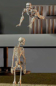 A computer-generated image of a skeleton leaping onto another, a creation of Petros Faloutsos, computer scientist at the University of California.   